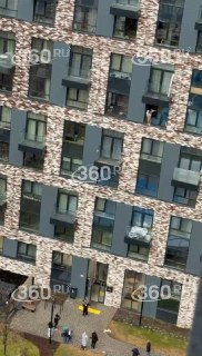 Иллюстрация 2