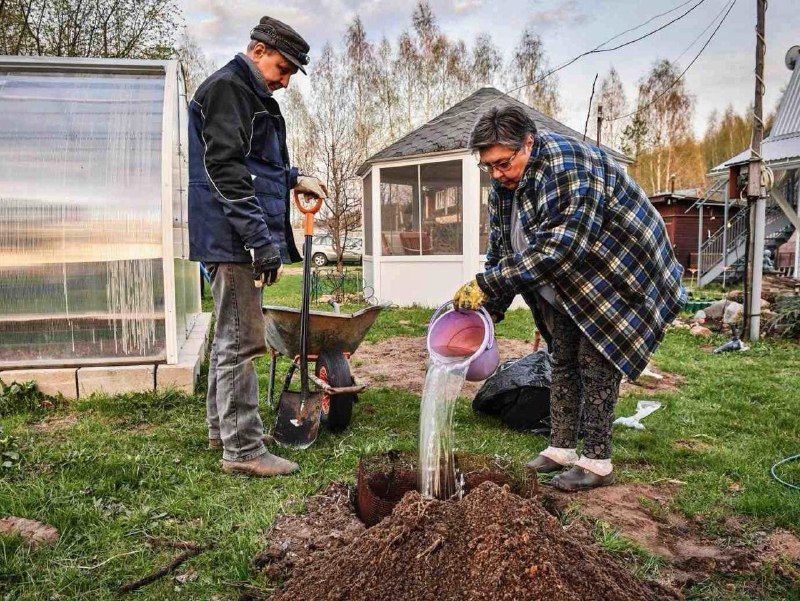 Новая схема мошенничества: дачникам присылают фальшивые квитанции от имени СНТ