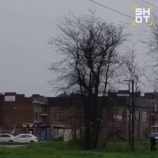 Иллюстрация 2