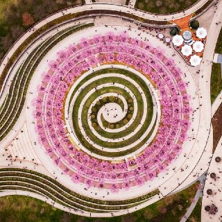 Иллюстрация 5