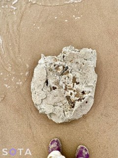 Иллюстрация 2