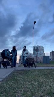 Иллюстрация 1