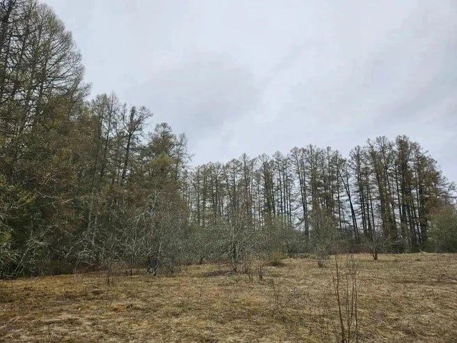 Иллюстрация 2