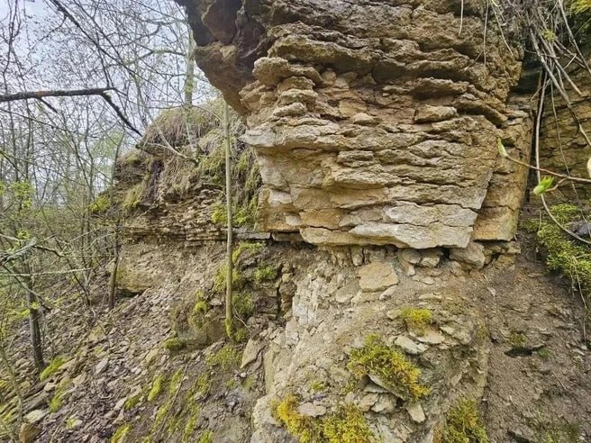 Иллюстрация 3