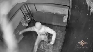 Иллюстрация 2