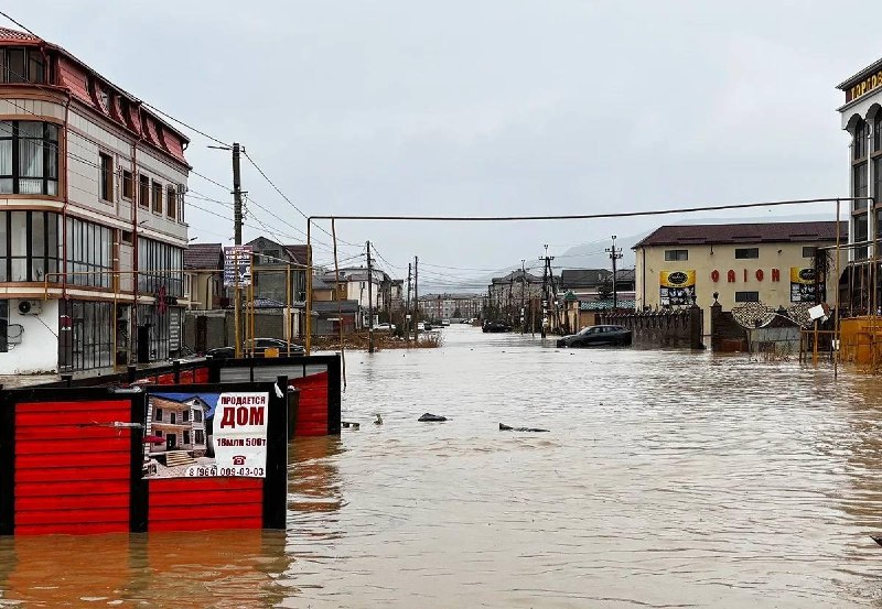 Иллюстрация 5