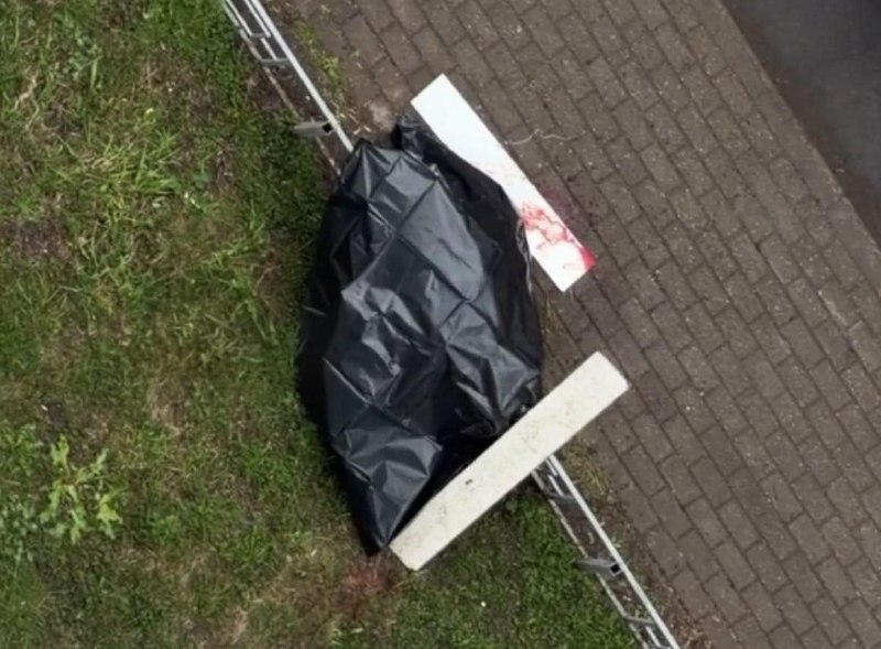 Иллюстрация 1