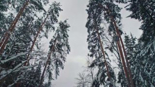 Иллюстрация 1