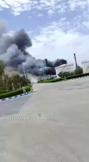 Иллюстрация 1