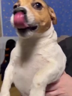 Иллюстрация 1