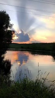 Красота природы и призыв к спокойствию от канала «Люди Z»