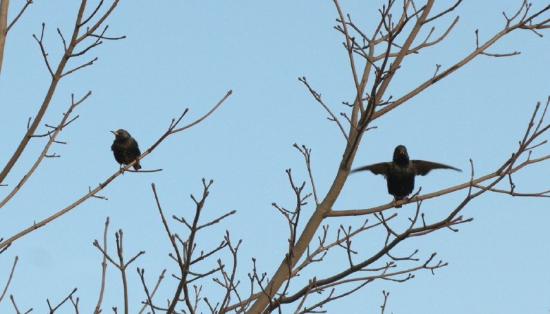 Иллюстрация 2