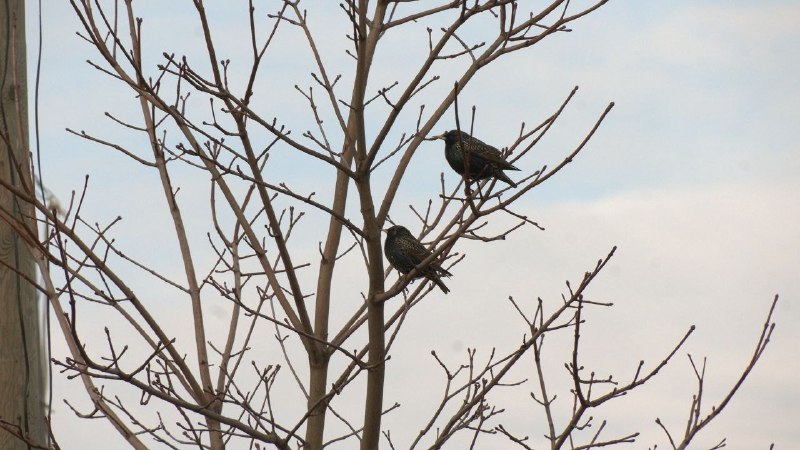 Иллюстрация 3