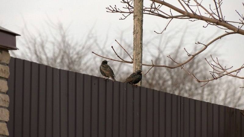 Иллюстрация 4