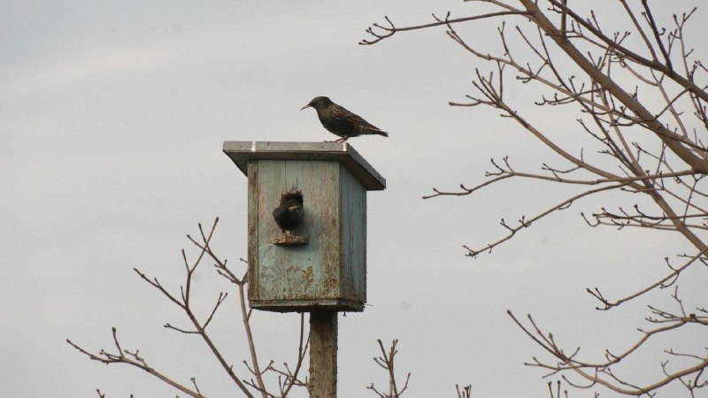 Иллюстрация 5