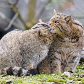 Иллюстрация 3