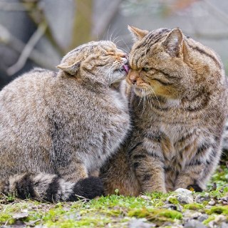 Иллюстрация 5