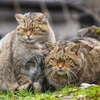 Иллюстрация 6