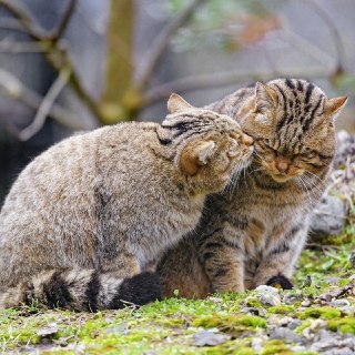 Иллюстрация 8