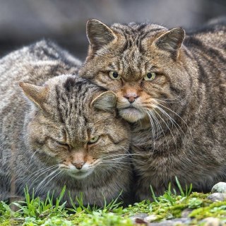 Иллюстрация 10