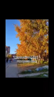 В МАХ массово читают чужие переписки