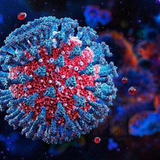 Новый штамм ковида вызывает усиление скрытой аллергии