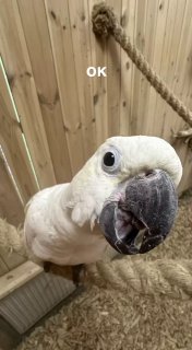 Иллюстрация 1