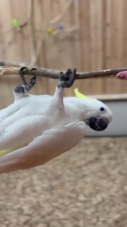 Иллюстрация 3