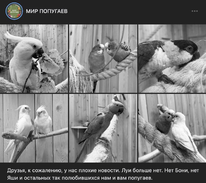 Иллюстрация 4