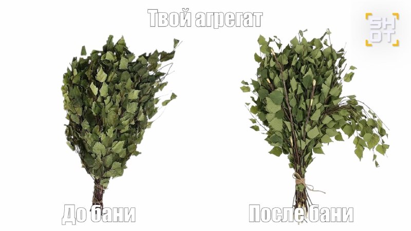 Мужчина сломал пенис в бане с проституткой в Башкирии