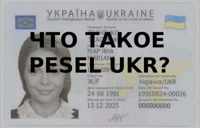 Украинские беженцы в Польше рискуют потерять работу из-за новых правил подтверждения статуса