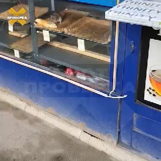 Крыса завтракала багетом в московской шаурмичной: видео