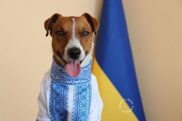 Сатира на новость о PESEL для украинцев в Польше