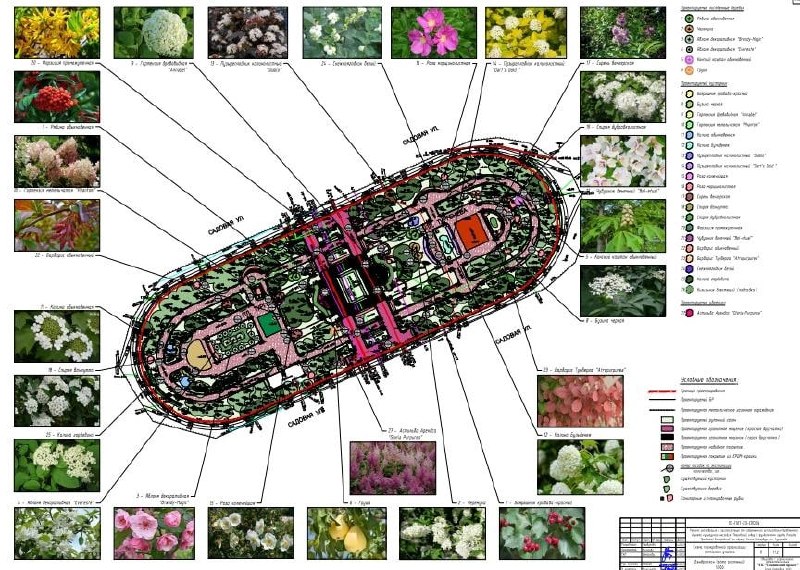 Иллюстрация 3