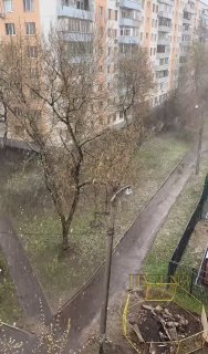 Метель и теплый снег накрыли север Москвы