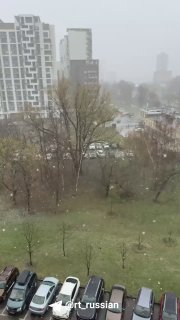 Иллюстрация 1