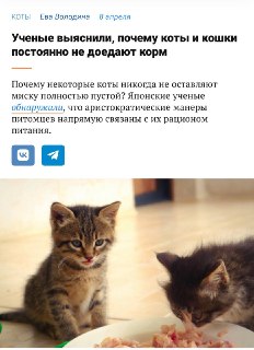 Учёные объяснили, почему кошки не доедают корм: всему виной однообразие