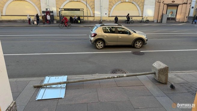 Сильный ветер в Петербурге: повалено более 50 деревьев, повреждены машины и остановки