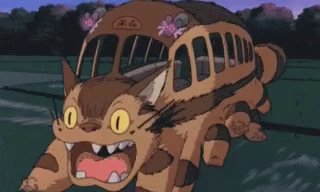 Котик завирусился в Threads и сравнили с Тоторо