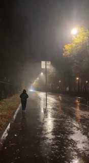 Снегопад ухудшил видимость на дорогах столичного региона