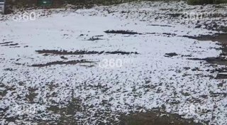 Иллюстрация 1