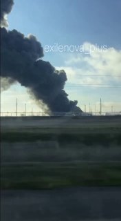 Иллюстрация 1