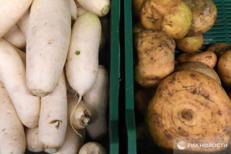 Число жестких продуктовых дискаунтеров в России удвоилось за 5 лет