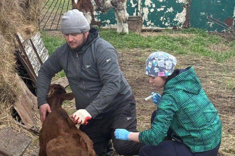 Волонтёры со всей России помогают жителям Дагестана после паводков