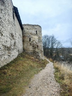 Иллюстрация 8