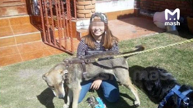 Иллюстрация 2