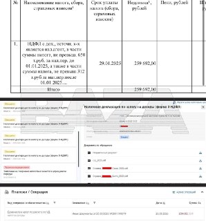 Сбой в ФНС: вместо вычета россияне получили долги и угрозу блокировки
