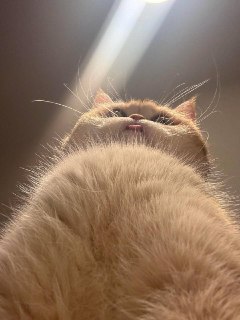 Иллюстрация 3