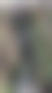 Иллюстрация 2