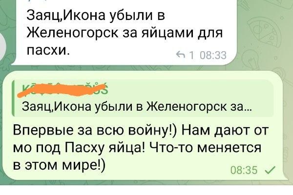 В зоне СВО вступило в силу Пасхальное перемирие